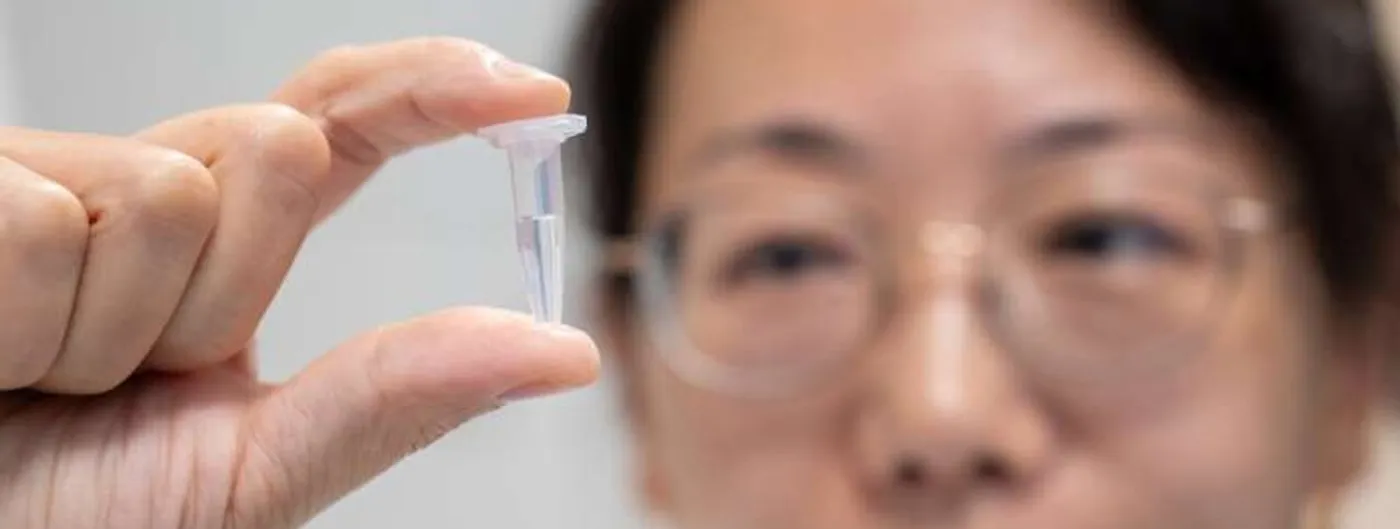 Close-up of a researcher's fingers holding a small vial of light-sensitive nanoparticle solution up to the light, with Aarhus University associate professor Menglin Chen looking at it in the blurred background.