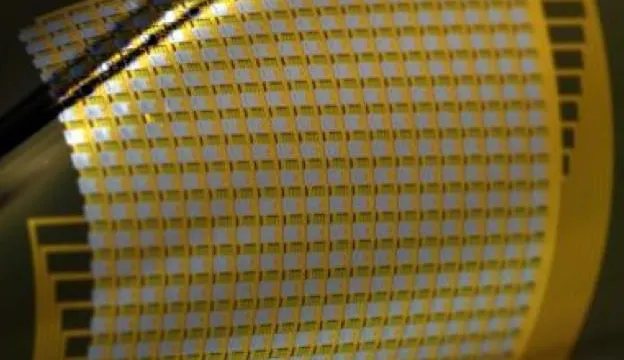 A thin, flexible microelectrode array on a transparent polymer film, its grid of gold contacts and traces catching the light as the sheet curls away from a dark surface.
