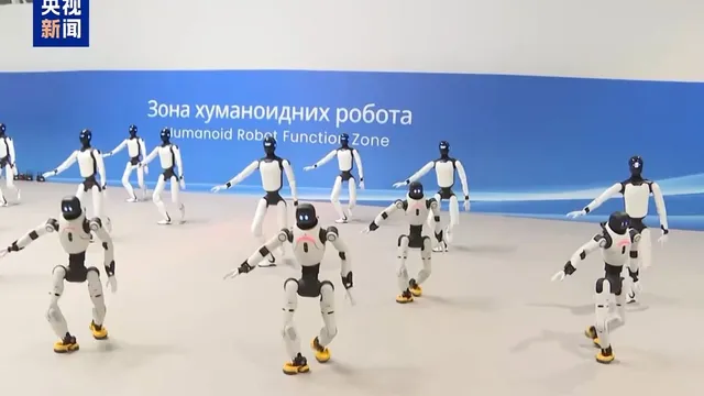 A dozen white-and-black humanoid robots stand in mid-stride on a pale floor in front of a blue banner reading "Humanoid Robot Function Zone" in Serbian and English.