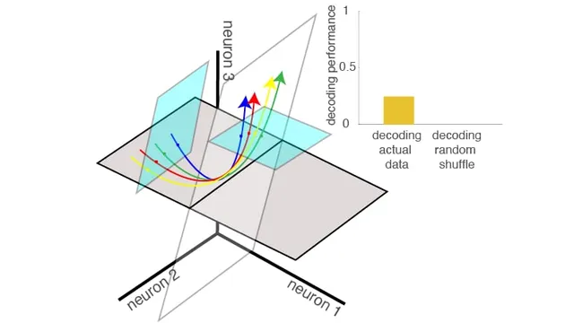 A diagram from the Hayden Lab showing four coloured neural trajectories curving upward through a three-axis state space labelled neuron 1, neuron 2 and neuron 3, beside a bar chart comparing decoding performance on actual data against a random shuffle.