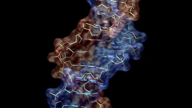 A physical molecular model of a DNA double helix, showing the twisted backbone and paired rungs.