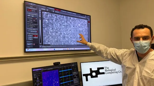 Alex Ksendzovsky, chief executive of The Biological Computing Co., in a lab coat and mask, points to a wall-mounted monitor showing a live microscopy feed of cultured neurons, beside a second screen bearing the company logo.