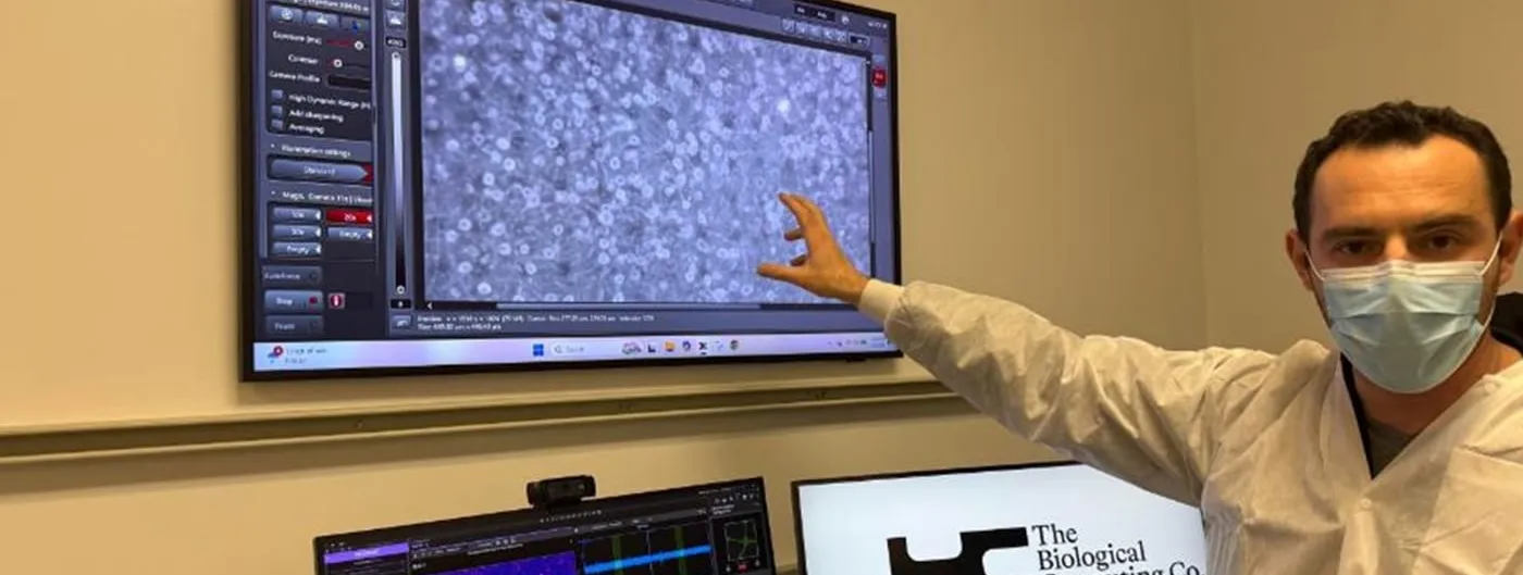 Alex Ksendzovsky, chief executive of The Biological Computing Co., in a lab coat and mask, points to a wall-mounted monitor showing a live microscopy feed of cultured neurons, beside a second screen bearing the company logo.