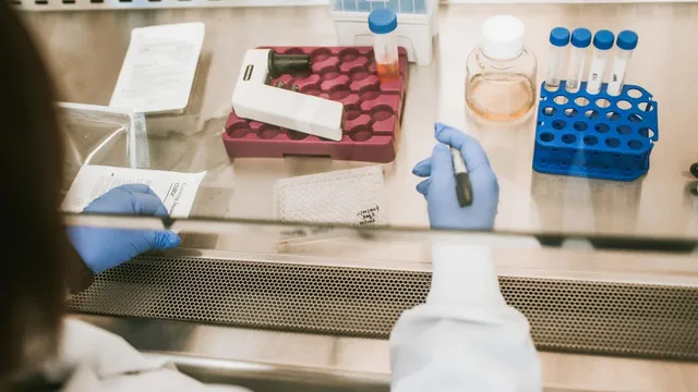 Gloved hands working inside a biosafety cabinet in a cell-therapy laboratory, with sample tubes in a blue rack, a culture bottle and a multi-well plate on the steel work surface.