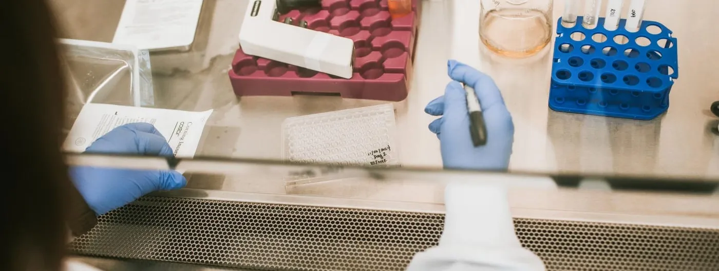 Gloved hands working inside a biosafety cabinet in a cell-therapy laboratory, with sample tubes in a blue rack, a culture bottle and a multi-well plate on the steel work surface.