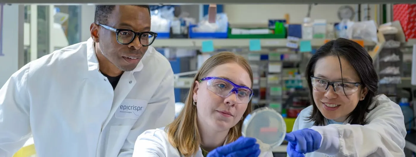 Three researchers in white lab coats and safety glasses lean together at a bench, one holding up a petri dish while another points at it with a blue-gloved hand.