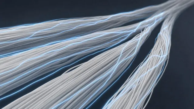 An abstract illustration of pale fibre bundles running diagonally across a dark slate background, grouped the way muscle fascicles are, with thin blue lines tracing along their length to suggest an applied electric field.