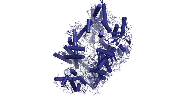 A three-dimensional molecular model of the Cas12a nuclease bound to guide RNA and target DNA, rendered as coloured ribbons and coils.