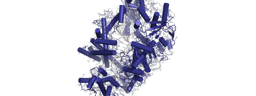 A three-dimensional molecular model of the Cas12a nuclease bound to guide RNA and target DNA, rendered as coloured ribbons and coils.