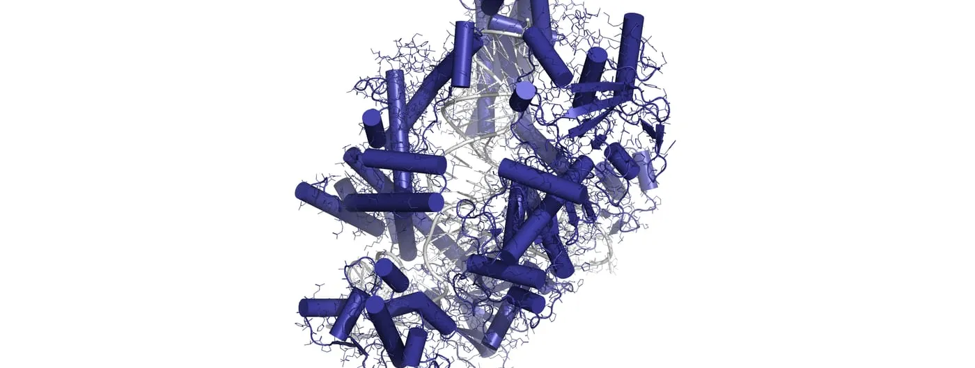 A three-dimensional molecular model of the Cas12a nuclease bound to guide RNA and target DNA, rendered as coloured ribbons and coils.