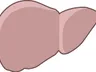 An anatomical illustration of a human liver seen from the front, rendered in reddish-brown against a plain background.