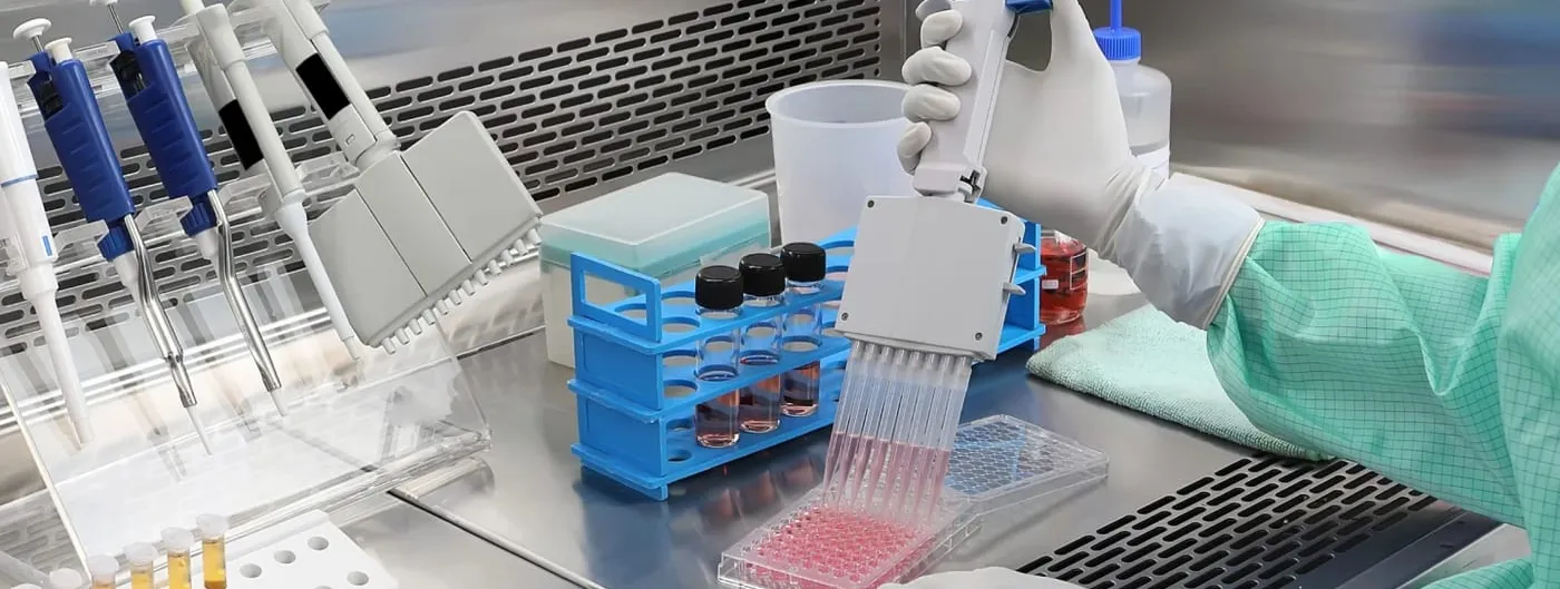 A gloved lab technician in a cleanroom gown handles a multichannel pipette over a 96-well plate of pink cell-culture media on a stainless steel bench.
