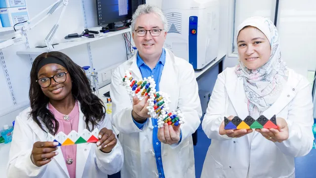 Three Maynooth University researchers in lab coats hold physical models of the DNA computer, a beaded double-helix strand and colour-coded triangular tiles representing its DNA scaffold.