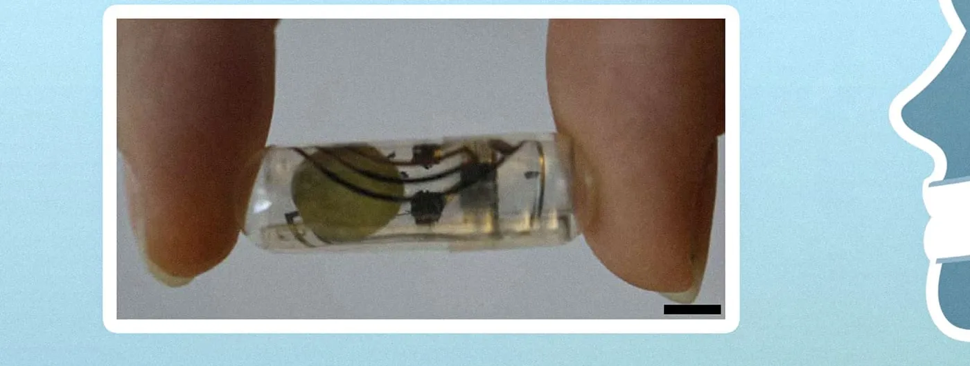 A translucent capsule-shaped ingestible battery containing a coin-shaped cell and thin internal wires, held between two fingers with a scale bar visible.