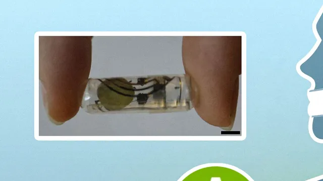 A translucent capsule-shaped ingestible battery containing a coin-shaped cell and thin internal wires, held between two fingers with a scale bar visible.