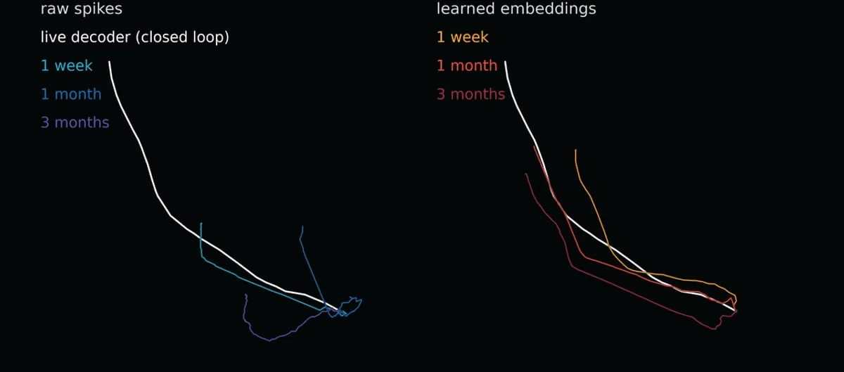 Dark-background chart from Neuralink comparing decoded cursor paths from raw spikes and from learned embeddings at one week, one month and three months against a white live decoder trace.