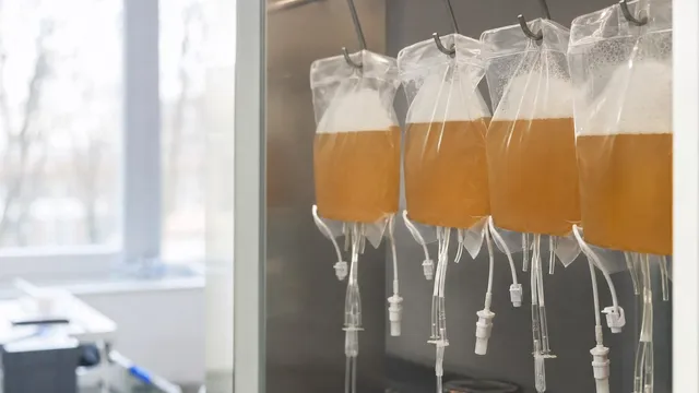 Four sterile transfer bags of pale amber cell suspension hang from a rail inside a stainless steel bioprocessing cabinet, their tubing sets dangling, in a bright laboratory.