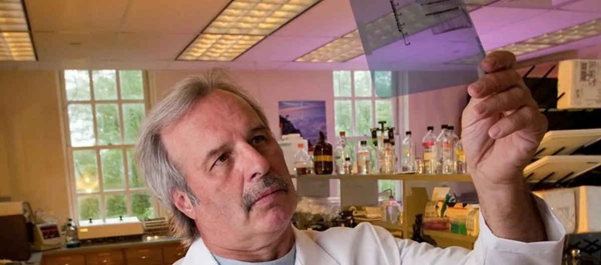 A researcher in a white lab coat holds a transparent film up to the ceiling lights of a laboratory, examining the dark bands on it, with reagent bottles on shelves behind him.