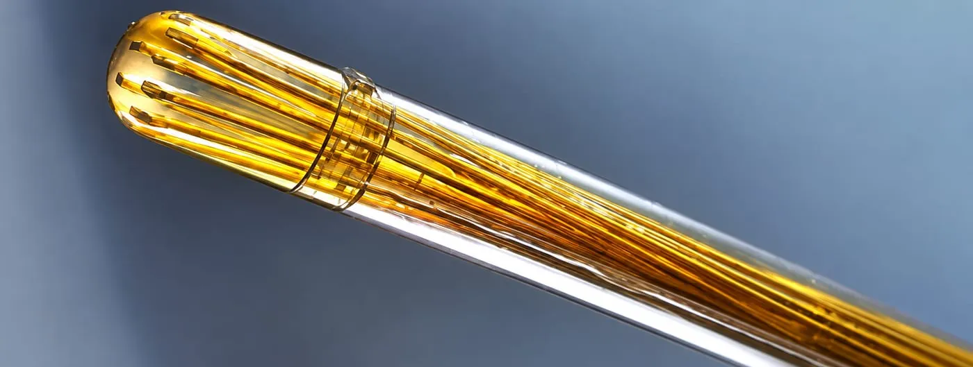 Macro photograph of the Phosphoenix Fountain Probe neural implant, a bundle of gold-coloured microelectrodes emerging from a clear catheter-like shaft against a blue background.