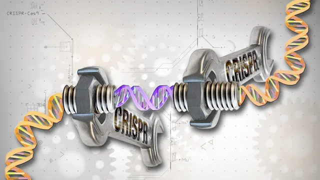 Illustration of two large wrenches labelled CRISPR gripping and joining a strand of DNA, with the words CRISPR-Cas9 in the corner.