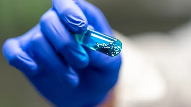 A gloved hand holds a test tube of blue liquid containing a cluster of small white hydrogel capsules.