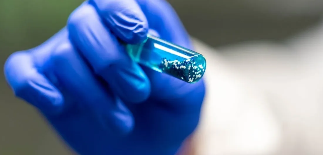 A gloved hand holds a test tube of blue liquid containing a cluster of small white hydrogel capsules.