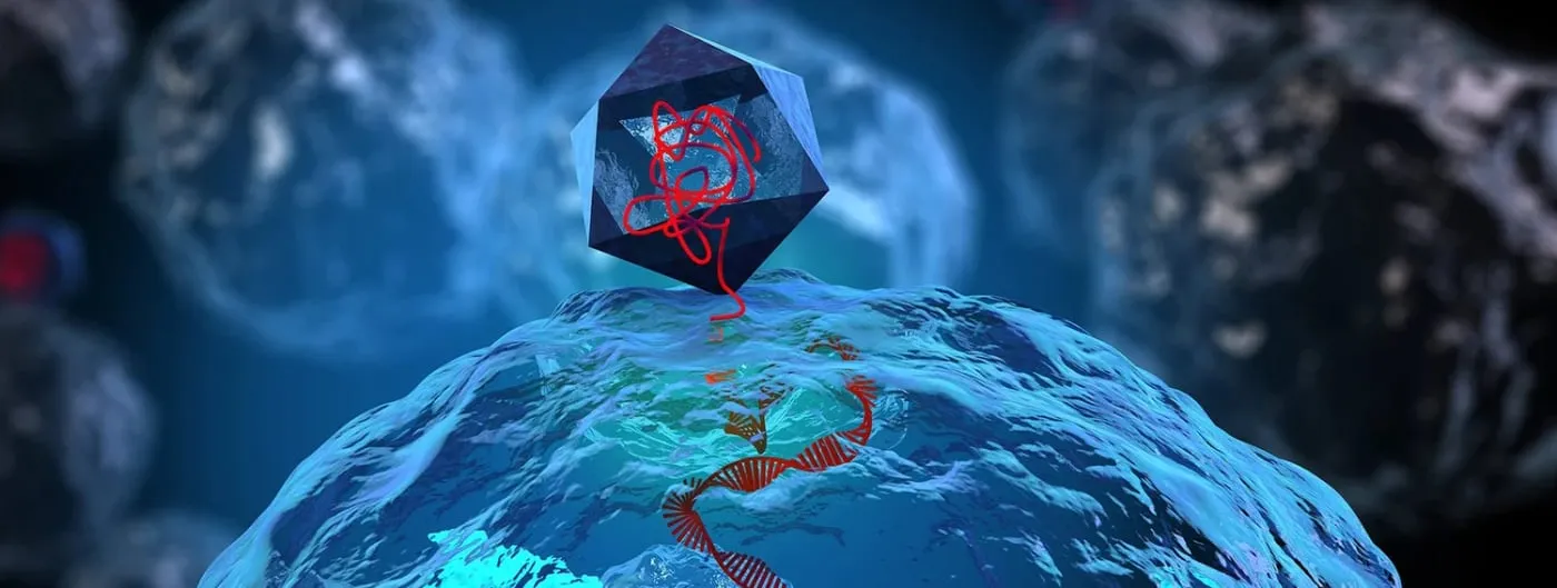 A rendering of an icosahedral bacteriophage perched on the surface of a bacterium, injecting a red strand of DNA that unwinds into a double helix inside the cell, with more bacteria blurred behind it.