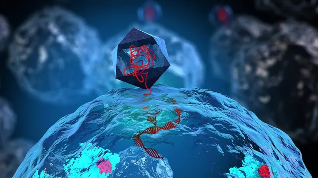 A rendering of an icosahedral bacteriophage perched on the surface of a bacterium, injecting a red strand of DNA that unwinds into a double helix inside the cell, with more bacteria blurred behind it.