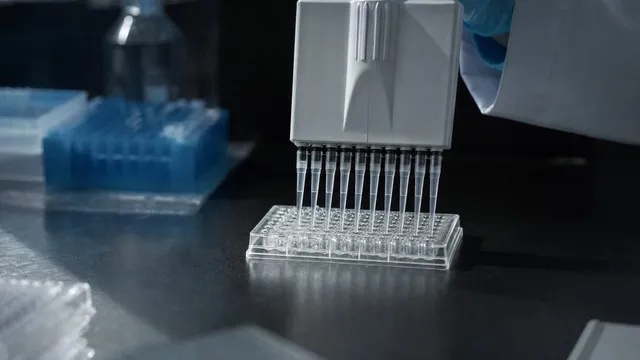 A white multichannel pipette lowers eight slender tips into the wells of a clear plastic microplate on a dark laboratory bench, with a rack of blue pipette tips out of focus behind it.