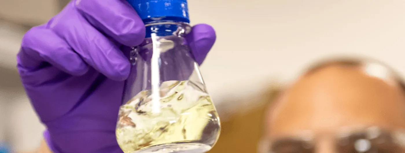 A gloved researcher's hand holds up a laboratory flask of pale yellow liquid, with a second researcher's face blurred in the background.
