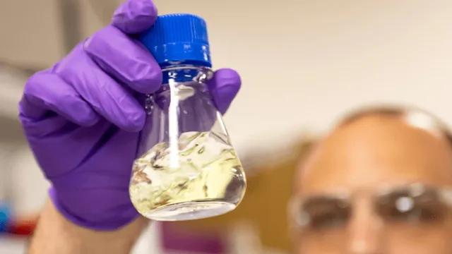 A gloved researcher's hand holds up a laboratory flask of pale yellow liquid, with a second researcher's face blurred in the background.