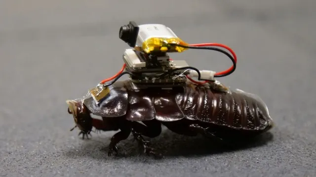 A large dark-brown cockroach stands on grey ground with a miniature camera, a battery and a small circuit board strapped to its back, red and black wires curving between them.