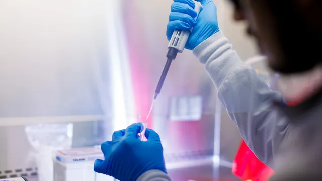 A gloved researcher pipettes a sample into a small vial inside a lit laboratory biosafety cabinet.