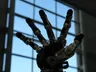 A five-fingered anthropomorphic robotic gripping hand with a pale casing, held palm-forward and mounted on a mechanical wrist.
